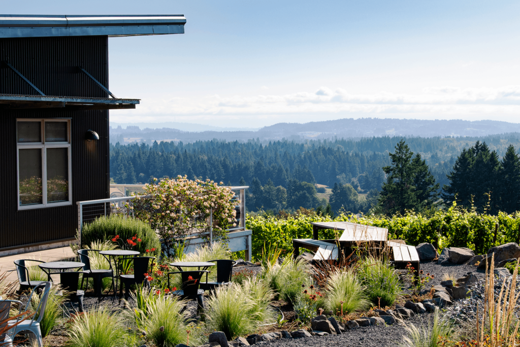 View of vineyard and mountains from winery