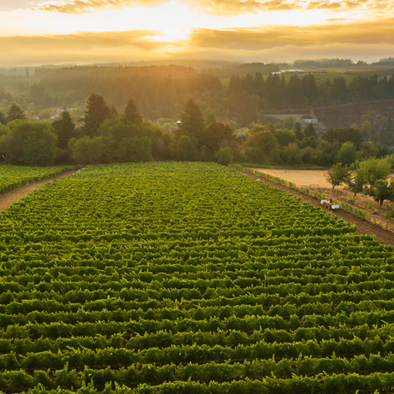 Raptor Ridge_drone_20160922_072-Edit-1500x879